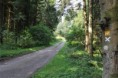 /album/fotogallerij/dorf-wald-jpg/